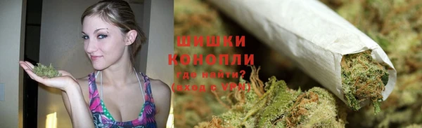 шишки Алзамай
