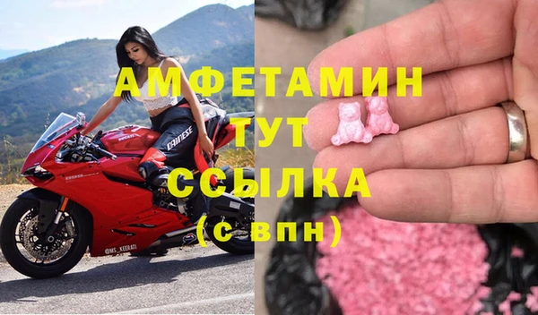 шишки Алзамай