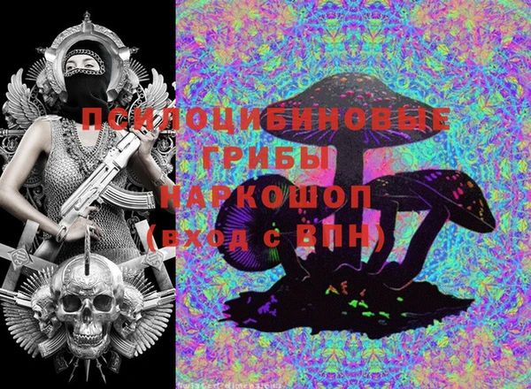 шишки Алзамай