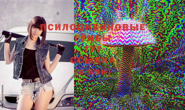 ГАЛЛЮЦИНОГЕННЫЕ ГРИБЫ Алексеевка